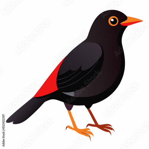 Eurasian Blackbird – Simple Colored Vector on White