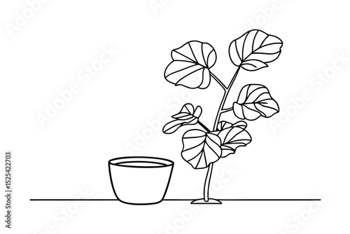 Elegant line art illustration of a fiddle leaf fig plant in a simple potted design