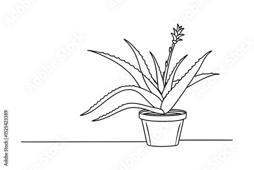 Detailed line drawing of aloe vera plant in a pot isolated on white background