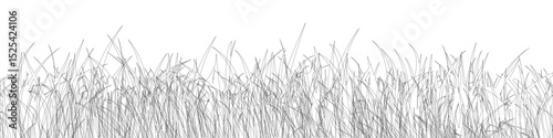Grass lines silhouette, park, field lawn, meadow, horizontal nature lush landscape background - vector