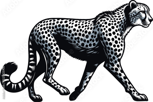 A Vector clipart illustration Cheetah
