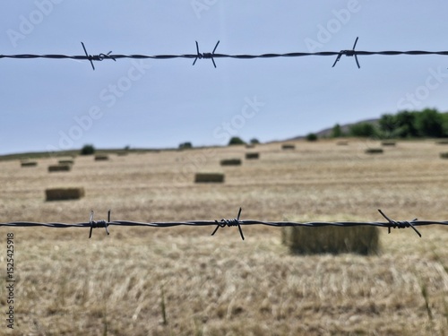 hay bales with wires