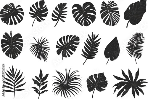 Vector illustration of deferent type leaf set
