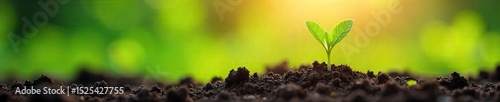 Vibrant green shoots emerge from the earth, signifying rebirth and the promise of new life in the revitalizing spring season Sunlight bathes the landscape in warmth , meadow, season, wildlife