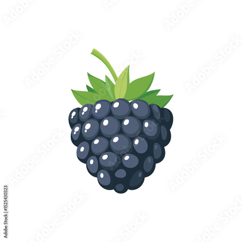 Illustration of a Ripe Blackberry Cluster with Green Leaves on White Background.