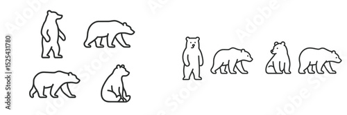 Illustrations of various bear species in different poses showcasing their natural behaviors