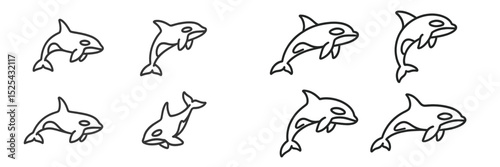 Illustrations of orca whales in various poses playing and swimming in the ocean