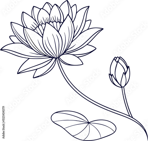 Elegant black and white vector illustration of a lotus flower blossom bud and leaf