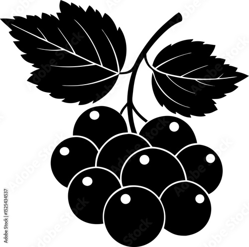 Stylized black and white grape cluster with leaves isolated on white background