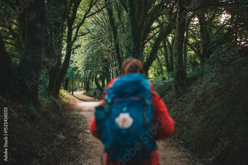 Wall Mural Back view of lonely female backpacker walking along path through forest tree tunnel