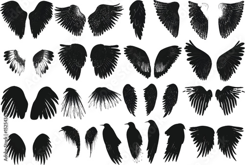 Vector illustration of deferent wing set