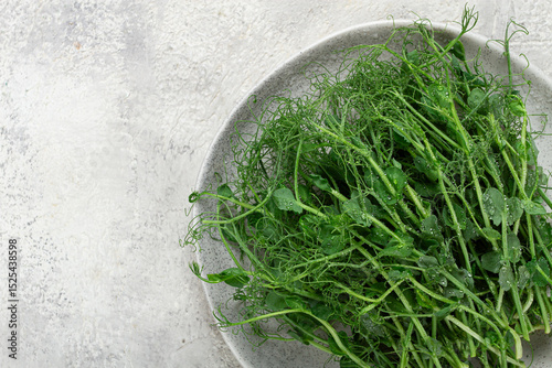 Fresh pea shoots arranged on a gray plate with a light textured background showcasing vibrant green colors
