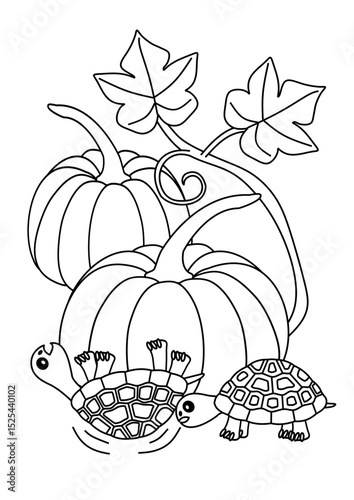 upside down tortoise and pumpkin, coloring book