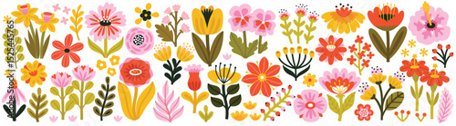 Floral collection with flowers, leaves for your design. Hand drawn set. Vector illustration. photo