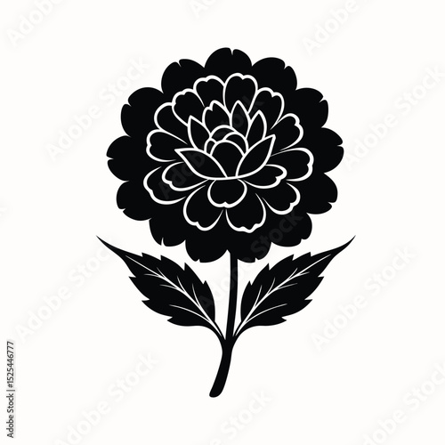 marigold-flower-silhouette-black-color--on-white-b.eps