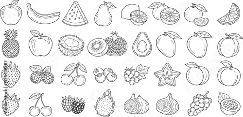  Fruits line icon set. Vector pictograms of banana, orange, strawberry, grapes, pineapple, mango, blueberry, raspberry, lime, kiwi, papaya, pomegranate, coconut, thin linear illustration