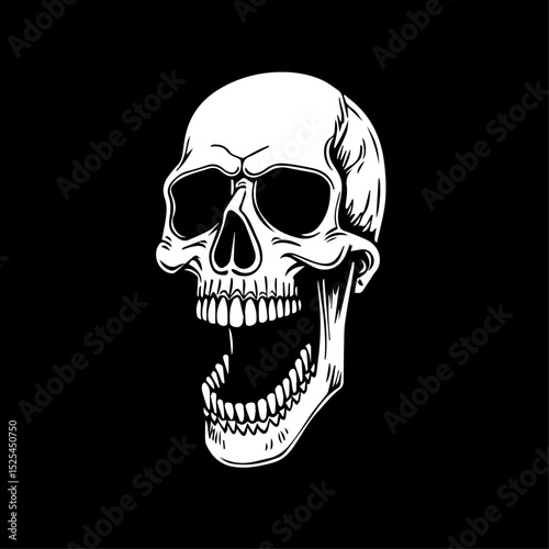 human skull vector illustration