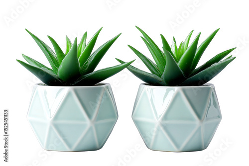 Two artificial succulents in geometric teal pots