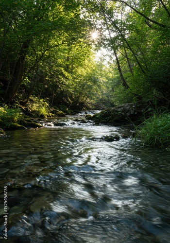 Sunlit Stream in a Lush Green Forest