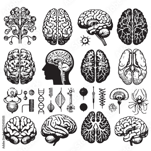 Detailed Human Brain and Neurological Elements - Vector Illustration Set