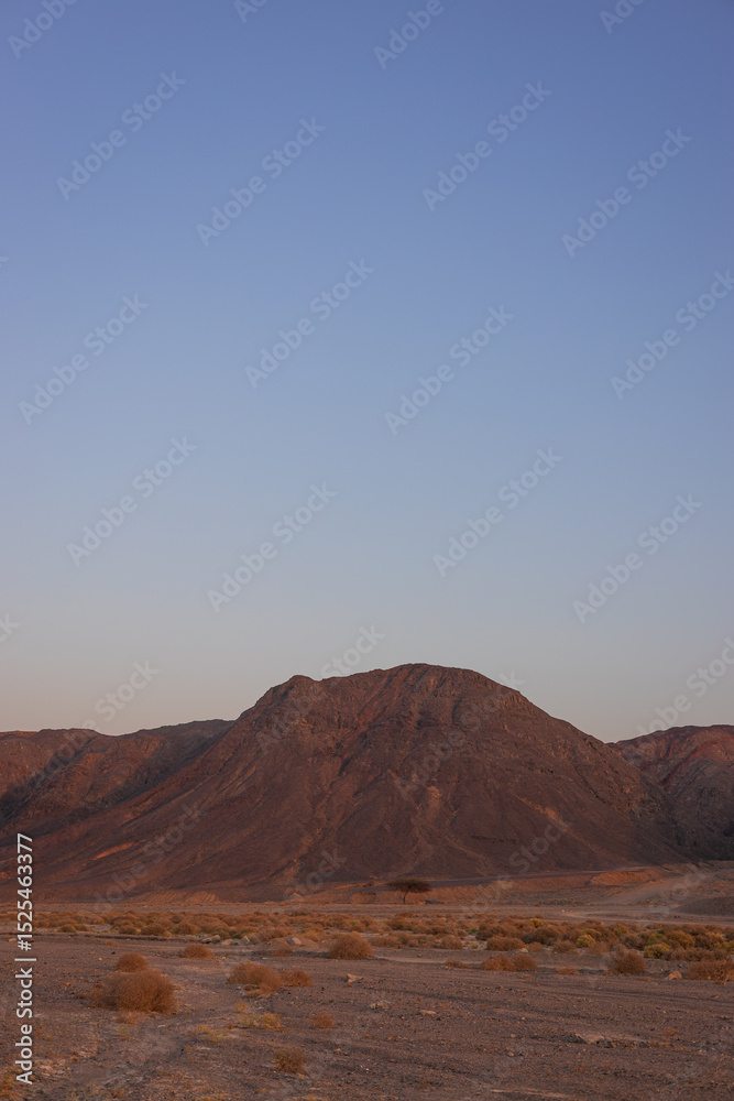 Evening in the desert, Marsa Alam, Egypt Evening in the desert, Marsa Alam, Egypt