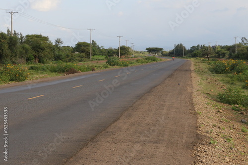 country road in the countryside