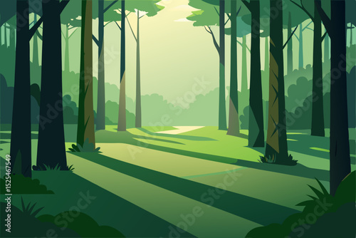 misty morning in the forest