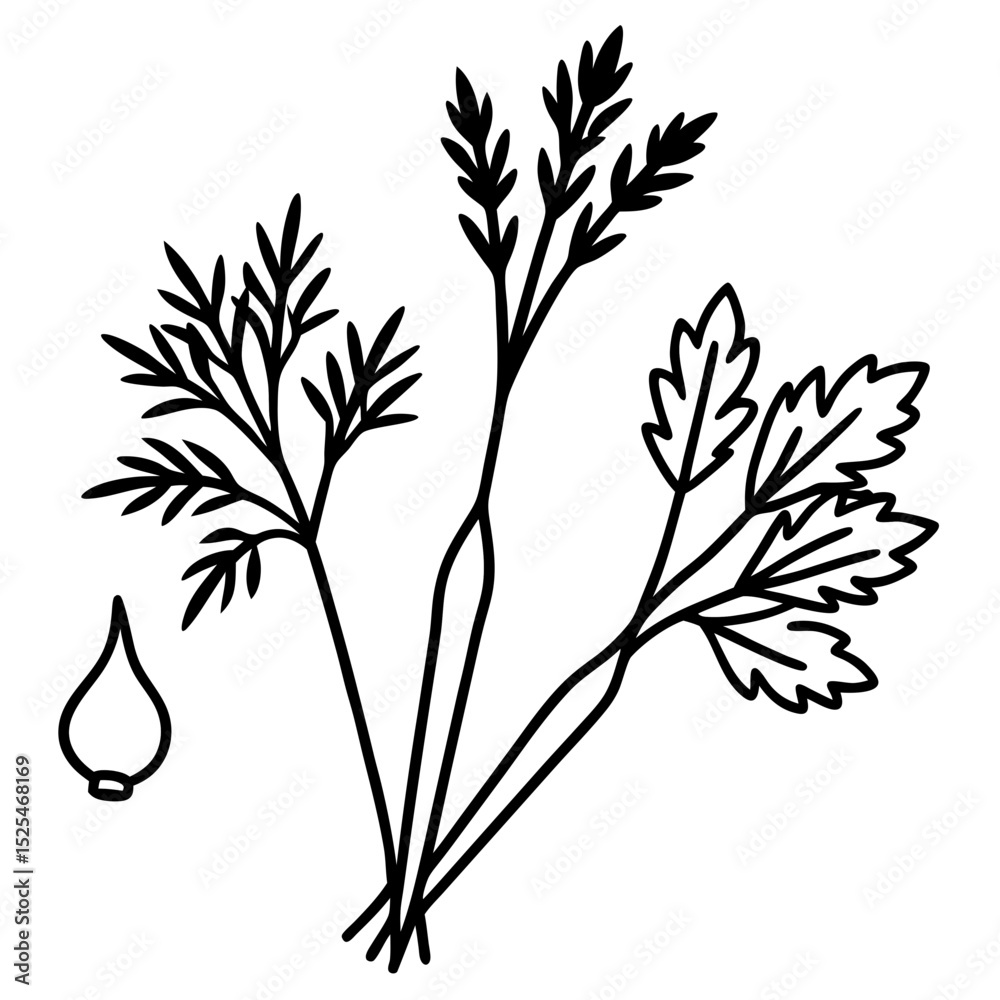 Fototapeta premium set-of-vegetable-sprigs--parsley--dill--etc---on-w.svg