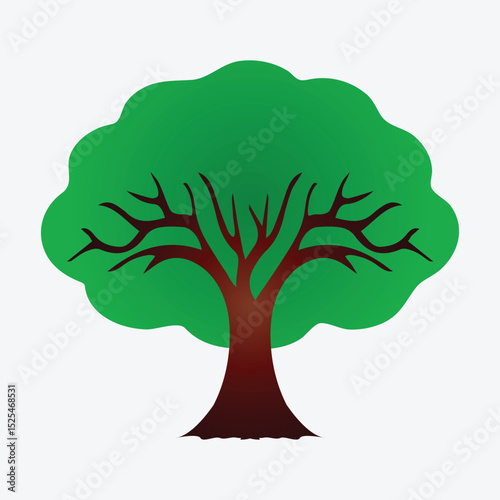 Green Tree Illustration and Graphic art