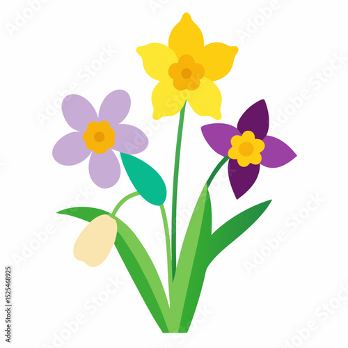 yellow daffodils isolated on white