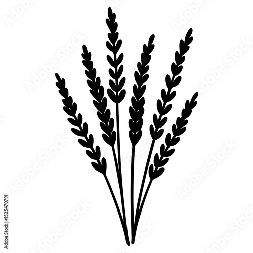  lavender-sprigs-watercolor-on-white--.svg