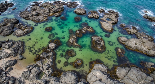 Tidal pool photography featuring green blue brown water shades with visible seaweed and shallow pool ecosystems photo