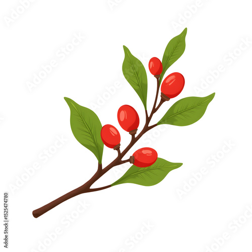 Red berries on branch with green leaves in flat design style  