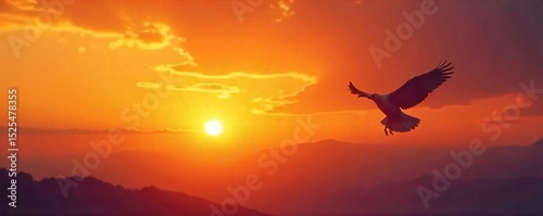 A single bird silhouetted against a vast, sunset sky, wings outstretched in solitary flight The feeling of freedom and isolation are palpable in this powerful image , beautiful, nature