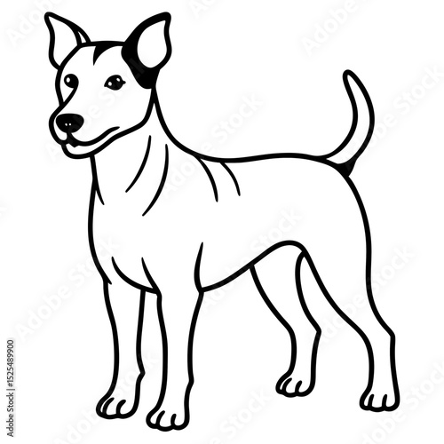 Simple Brazilian Terrier Vector on White