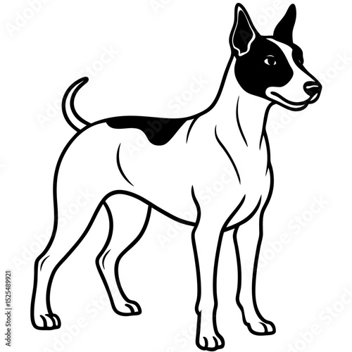 Simple Brazilian Terrier Vector on White