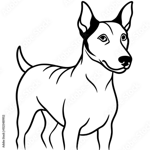 Simple Brazilian Terrier Vector on White