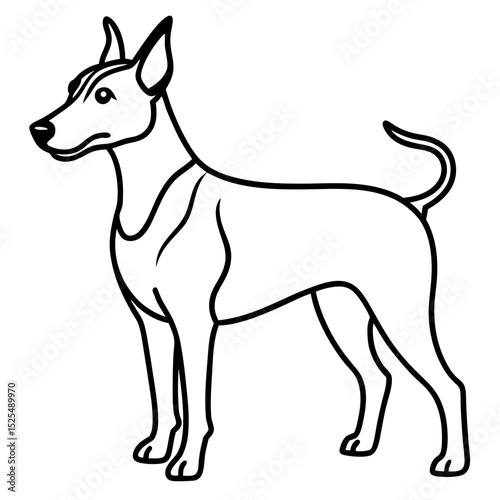 Simple Brazilian Terrier Vector on White
