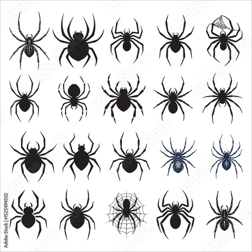 Spider silhouette vector on white background
