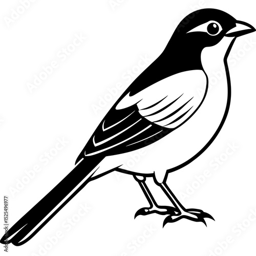 Minimal Bay-backed Shrike Vector
