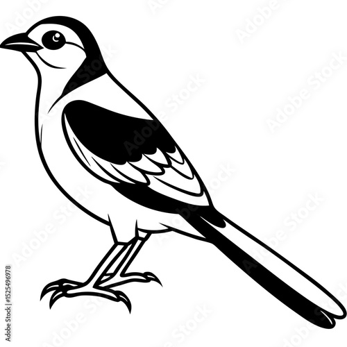 Minimal Bay-backed Shrike Vector