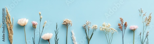 Pastel Dried Flower Arrangement on Blue Background, Floral Design, Botanical Photography Floral arrangement, dried flowers