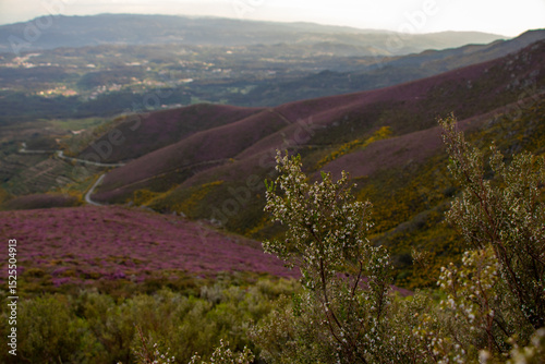 Foto Arada Mountain in São Pedro do Sul , with the colors of spring
