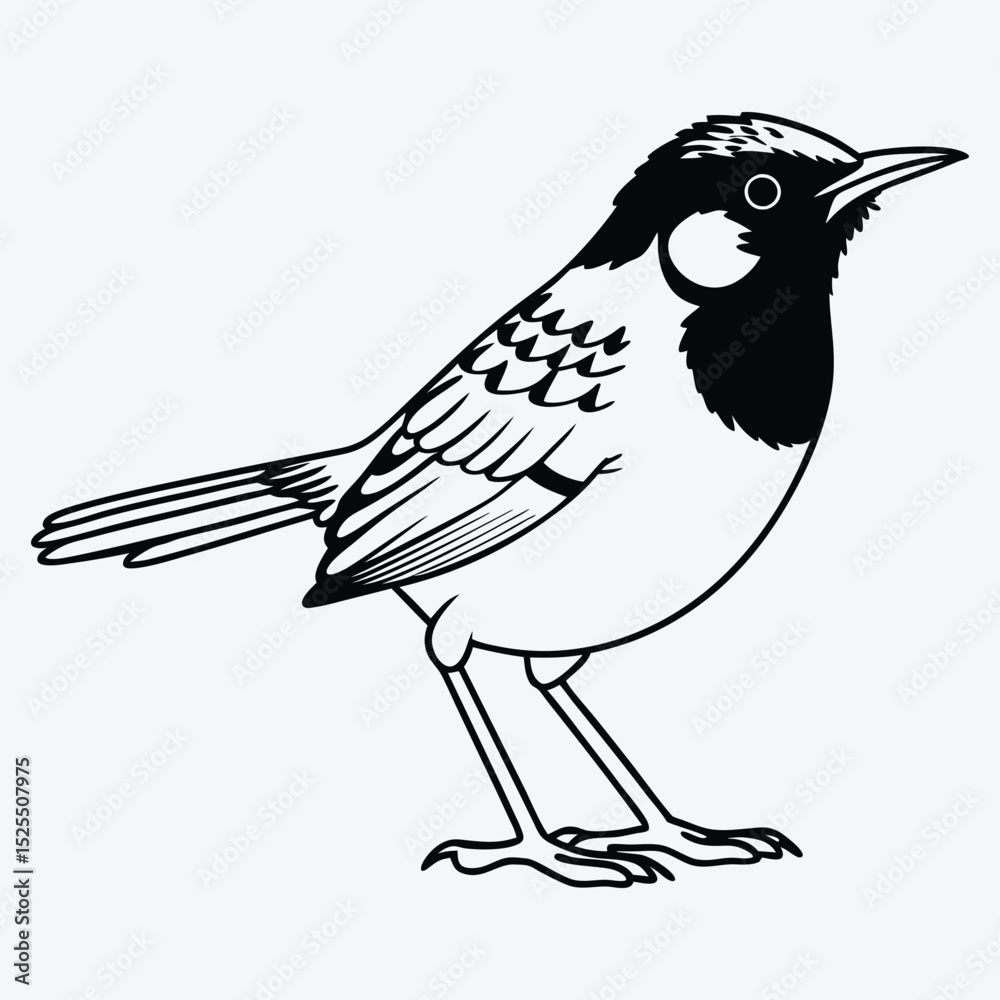 Fototapeta premium Antbird line art White background illustration Generative Ai.