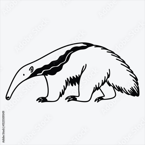 Anteater line art White background illustration Generative Ai.
