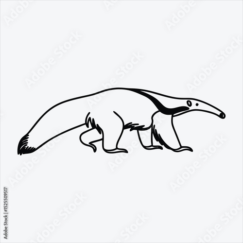 Anteater line art White background illustration Generative Ai.