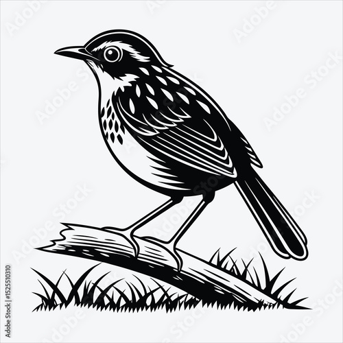 Antpitta line art White background illustration Generative Ai.