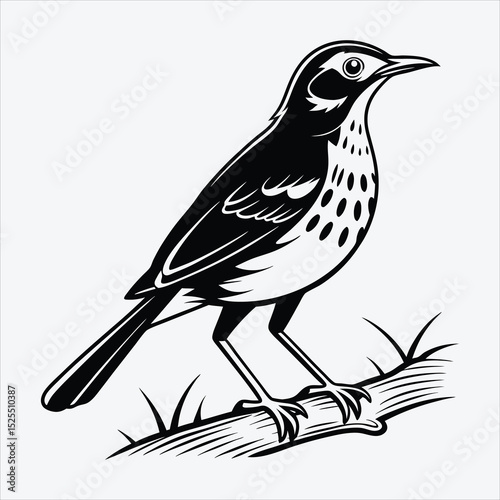 Antpitta line art White background illustration Generative Ai.