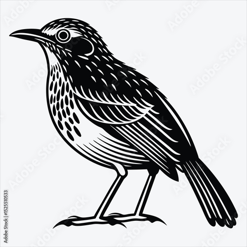 Antpitta line art White background illustration Generative Ai.