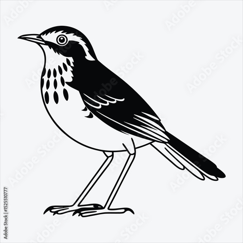 Antpitta line art White background illustration Generative Ai.